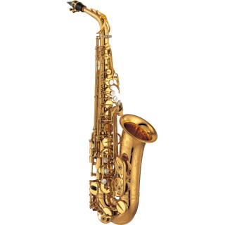 Yamaha alt Yas 875EX
