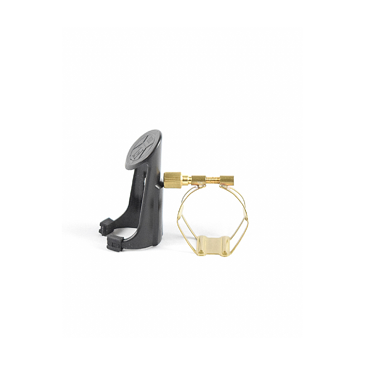 Francois Louis Basic ligature