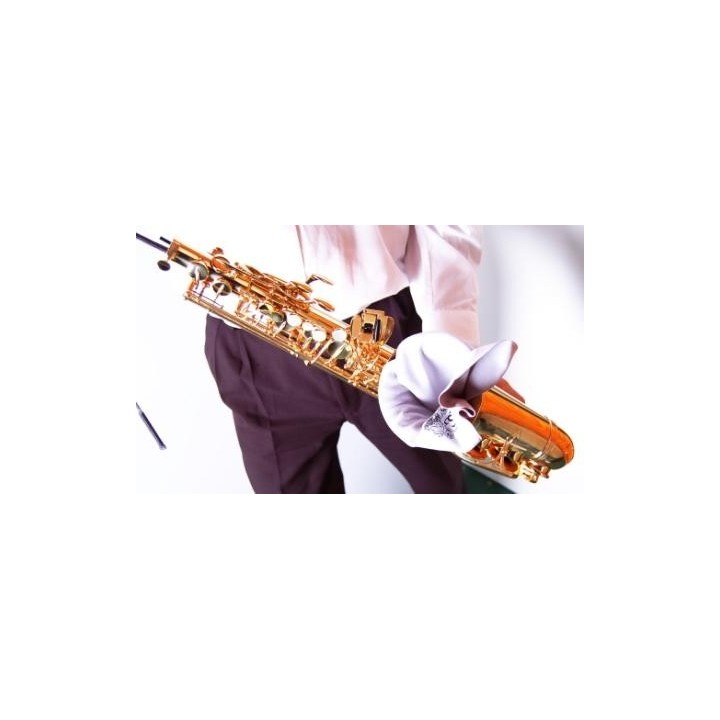 B&G alt saxofoon wisser A30