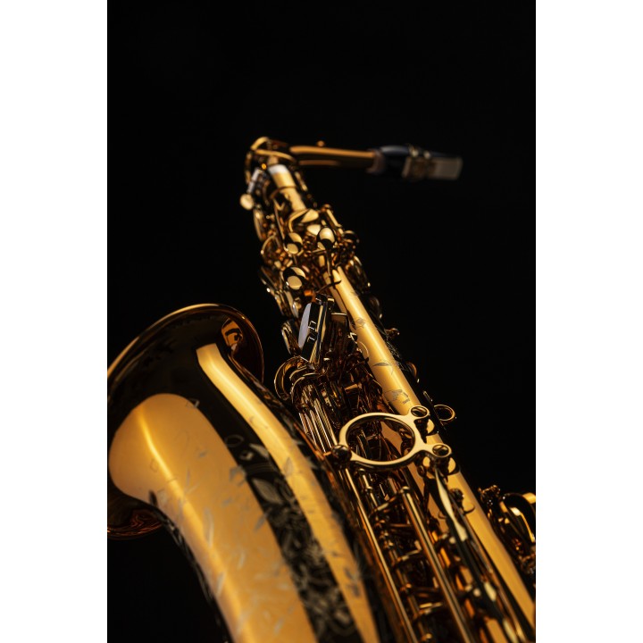 Selmer alt Reference 54