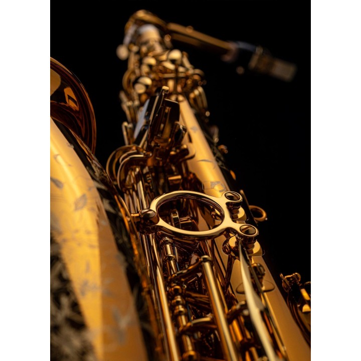 Selmer alt Reference 54