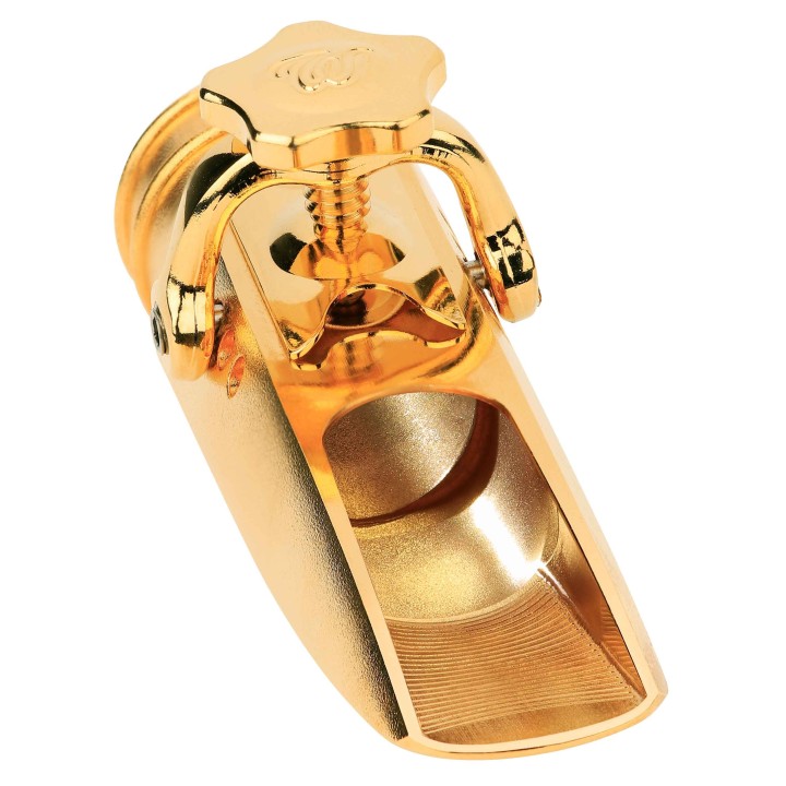 Theo Wanne Tenor Ambika 3