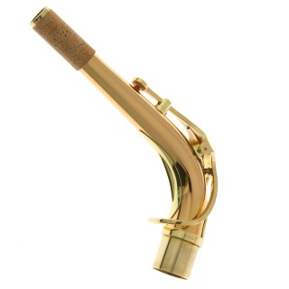 Yanagisawa nek A-WO2