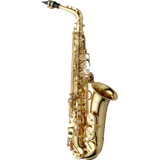 Yanagisawa  alt A- WO1