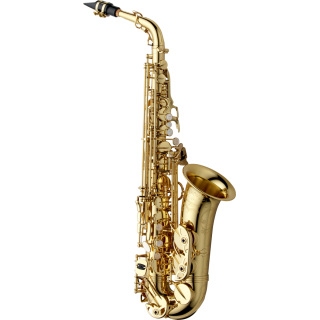 Yanagisawa  alt A- WO10