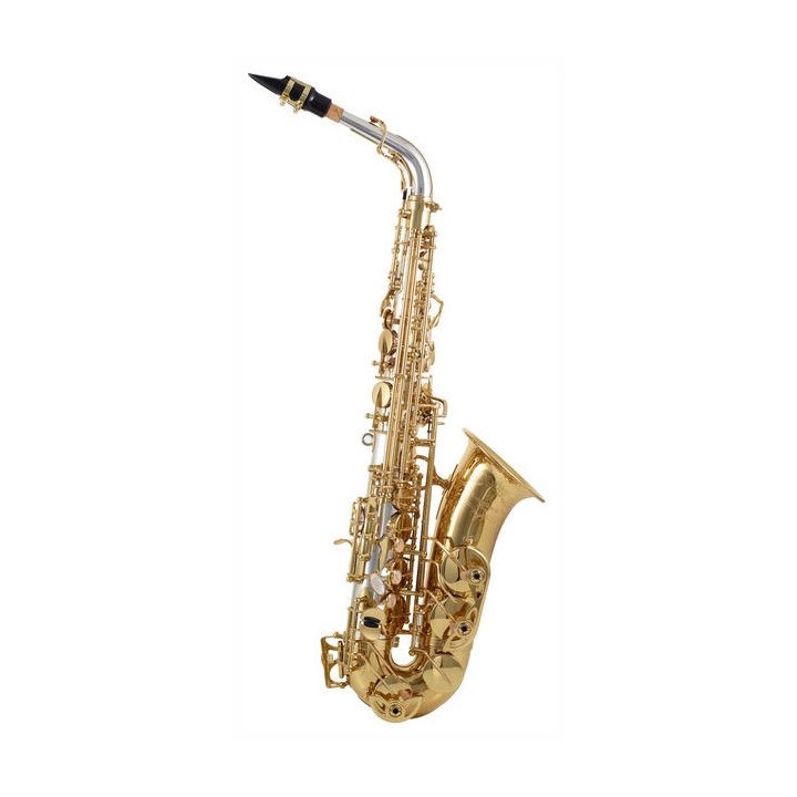 Yanagisawa  alt A- WO30