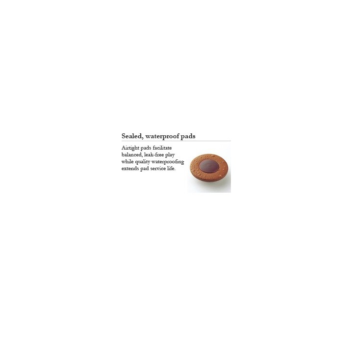 Yanagisawa  alt A- WO37